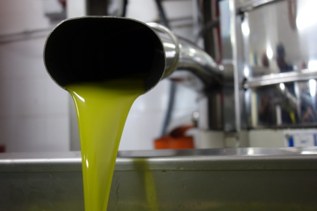 Cold-pressed Italian olive oil